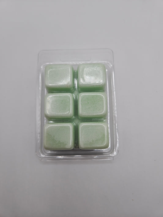 Clean Terrain Wax Melt